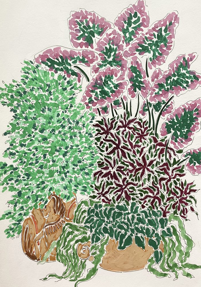 Kleurrijke potplanten door Rushati Chowdhury