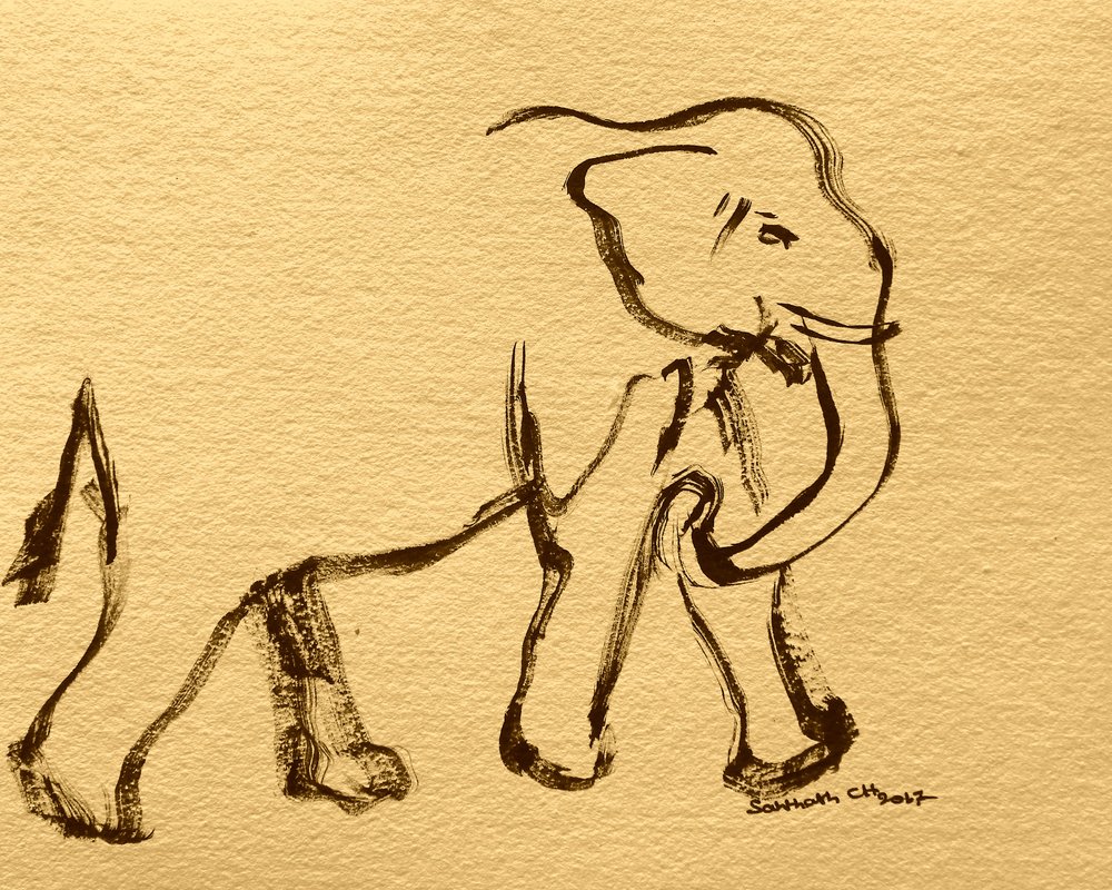 Expressieve olifant in inkt door Santhosh ch