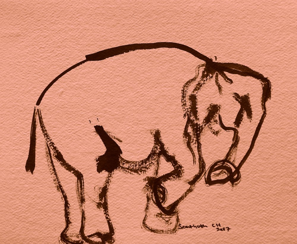 Expressieve olifantenschets door Santhosh ch