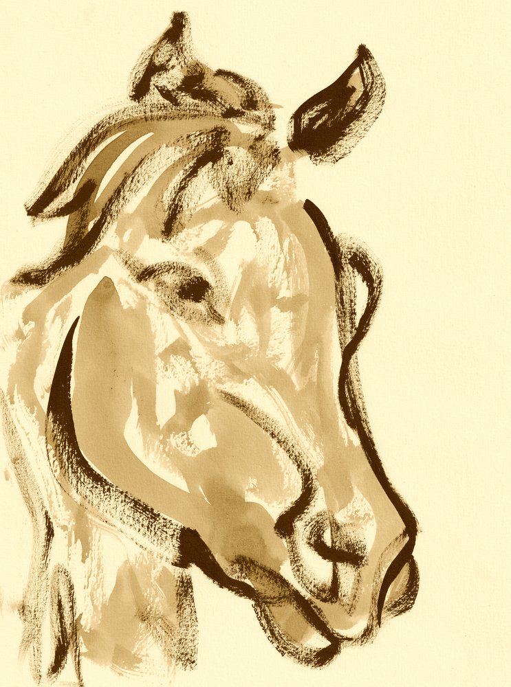 Expressieve paardenkop door Santhosh ch
