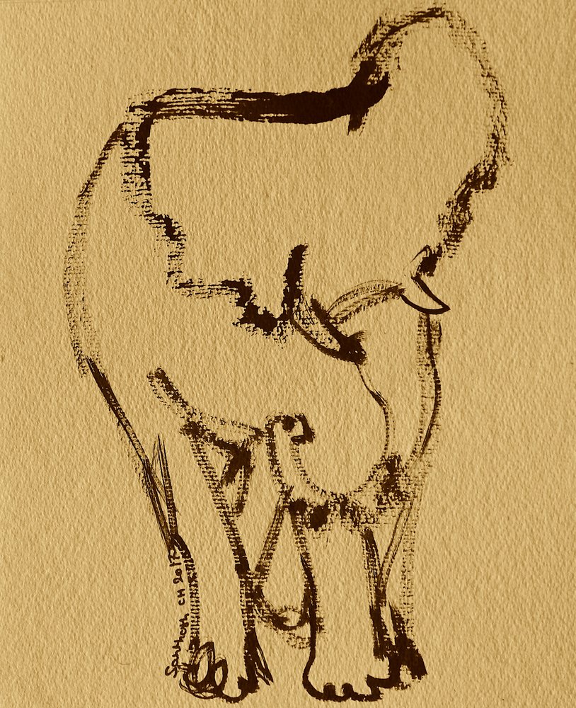 Zachte olifant in inkt door Santhosh ch