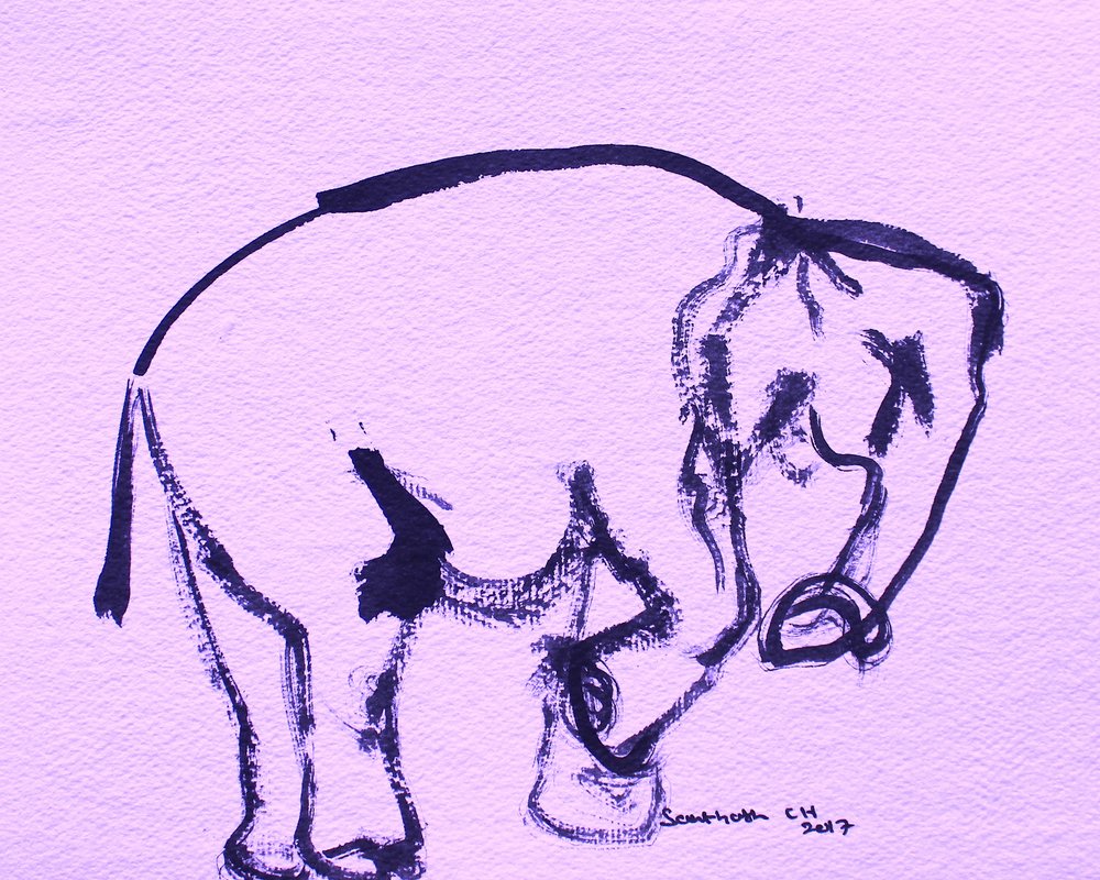 Zachte olifant in inkt door Santhosh ch