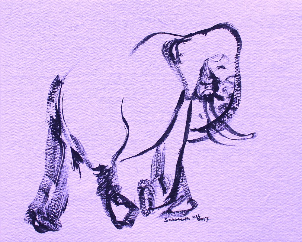 Sierlijke paarse olifant door Santhosh ch