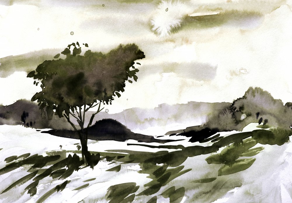 Landschap van Lone Tree door Santhosh ch