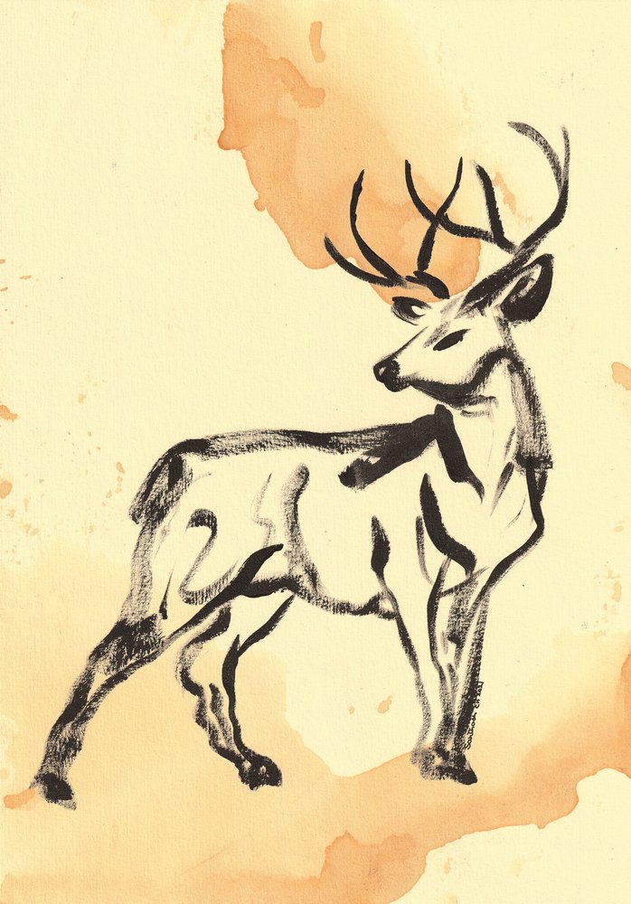 Majestueus hert in inkt door Santhosh ch