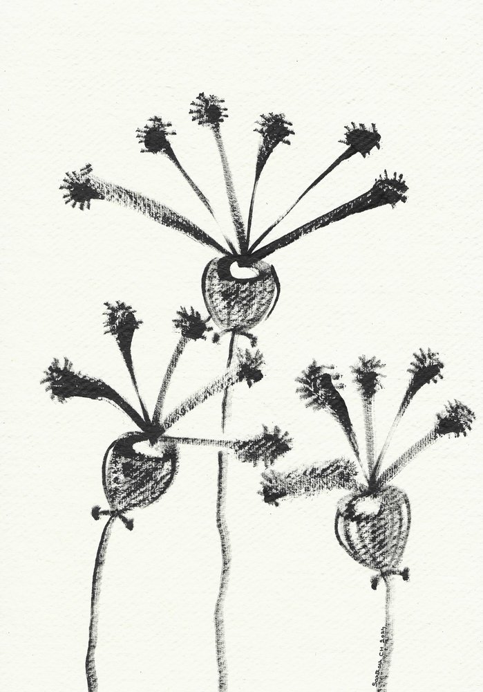 Minimalistische botanische tekening door Santhosh ch
