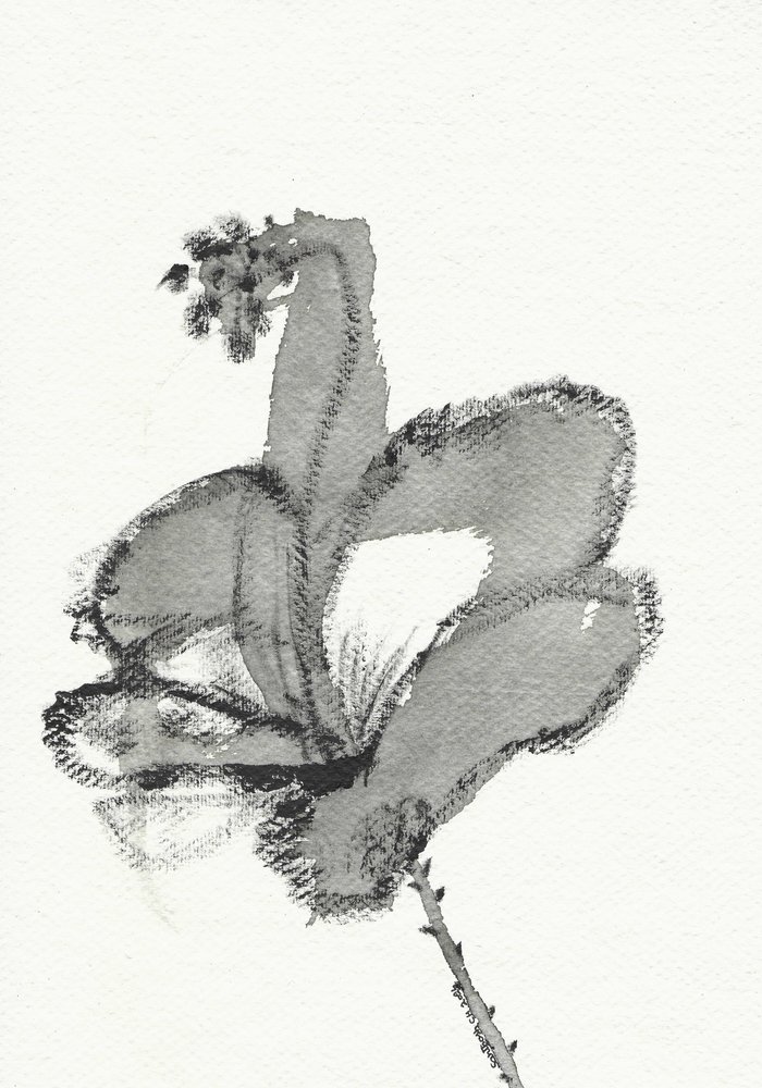Monochrome bloemstudie door Santhosh ch