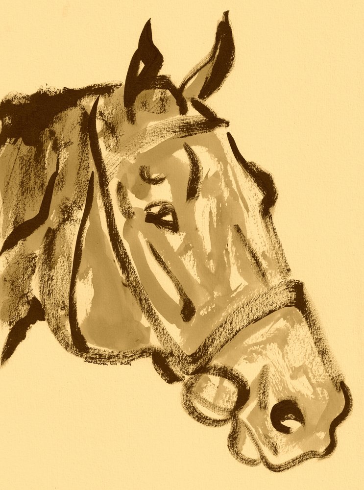 Portret van een edel paard door Santhosh ch