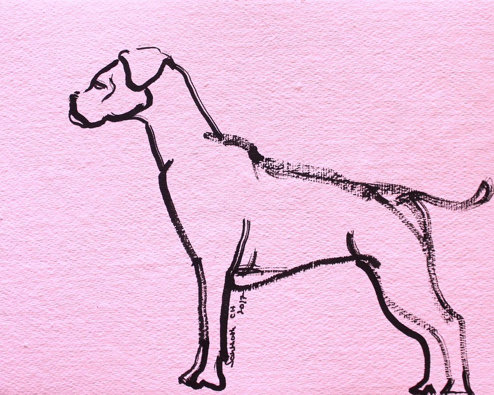 Roze lijntekening van een boxer door Santhosh ch