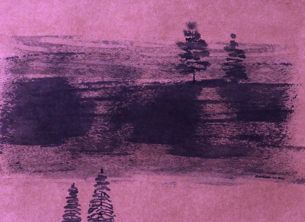 Roze landschapsreflecties door Santhosh ch