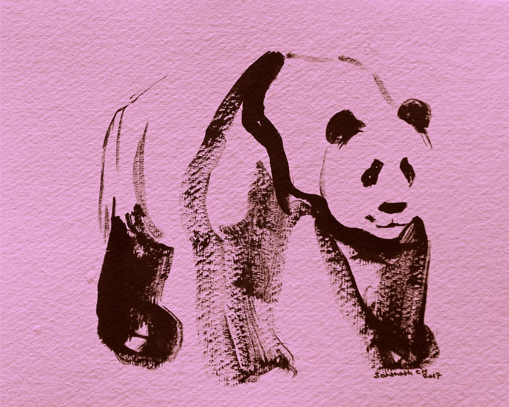 Penseelstreken van een roze panda door Santhosh ch