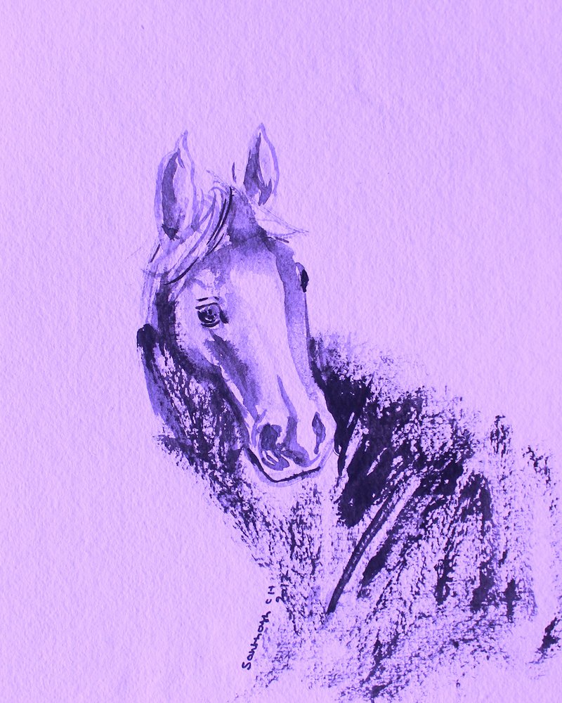Portret van een paars paard door Santhosh ch