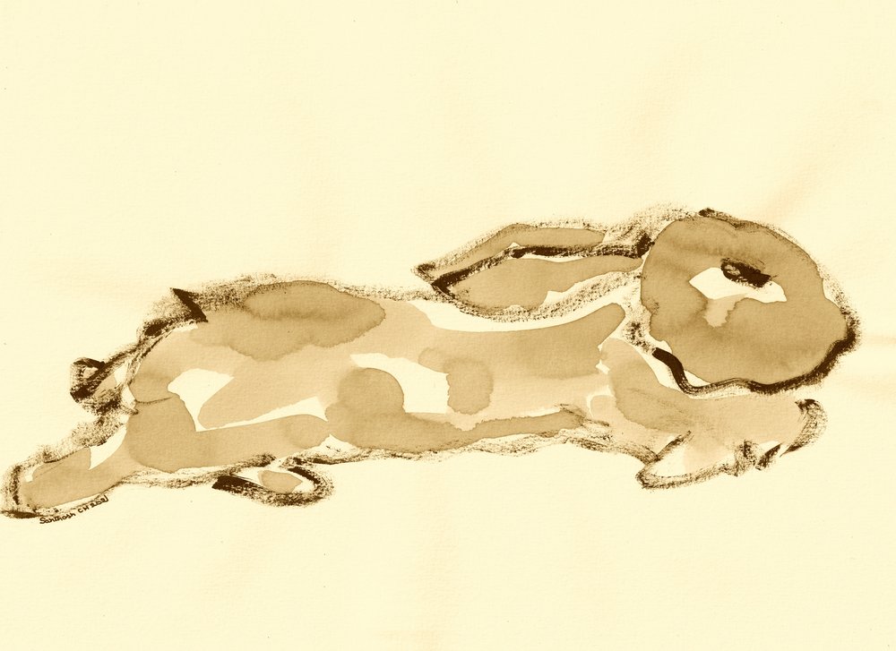 Aquarel van een rennend konijn door Santhosh ch