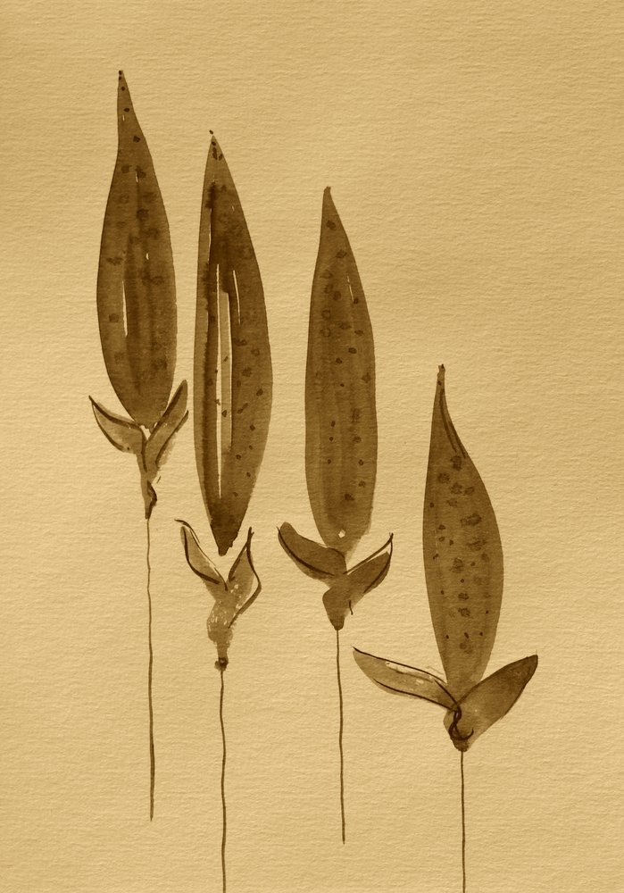 Sepia-aquarelplanten door Santhosh ch