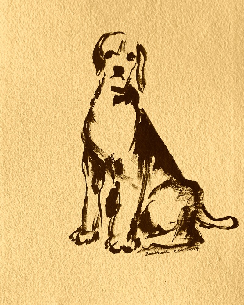 Schets van een zittende beagle door Santhosh ch
