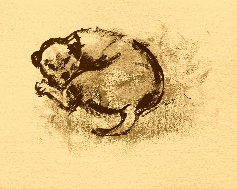 Schets van een slapende puppy door Santhosh ch
