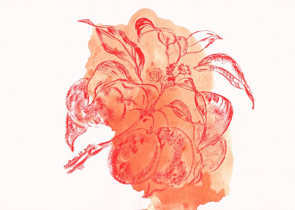 Aquareltak van een perzikboom door Santhosh ch