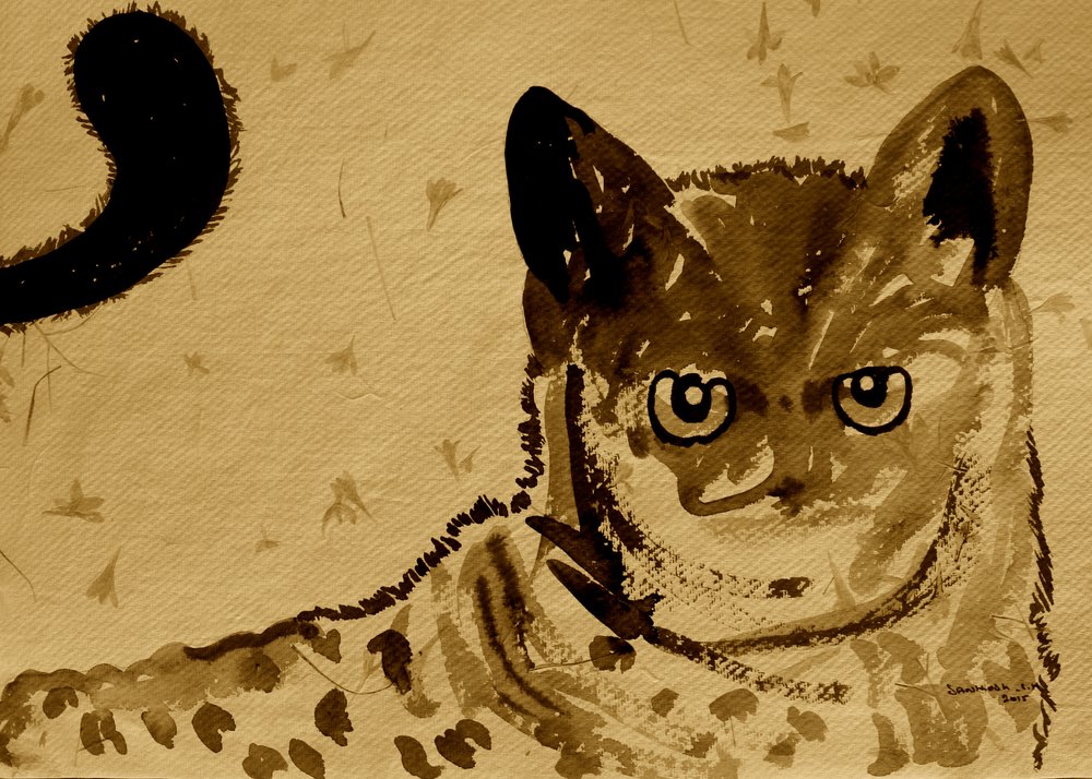 Wild Cat Gaze door Santhosh ch