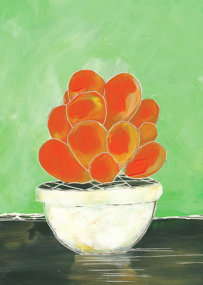Kleurrijke vetplant in pot door Sarah Fitzgerald