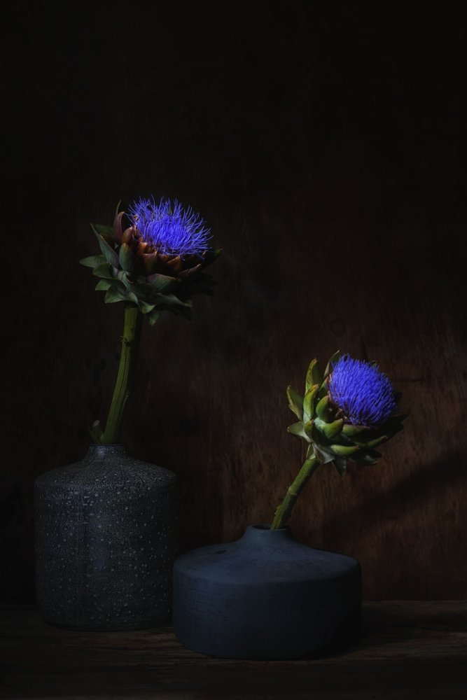 Donkere artisjokbloemen door Saskia Dingemans