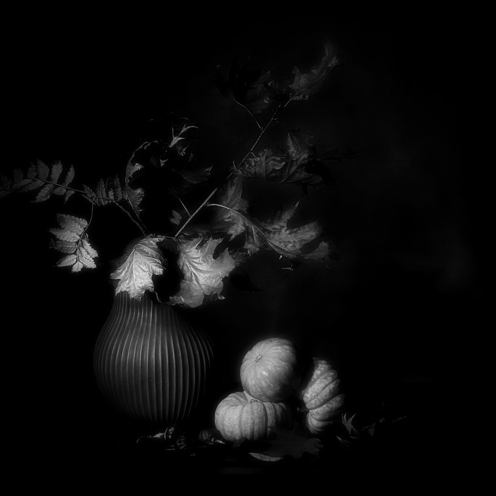 Donker herfststilleven door Saskia Dingemans