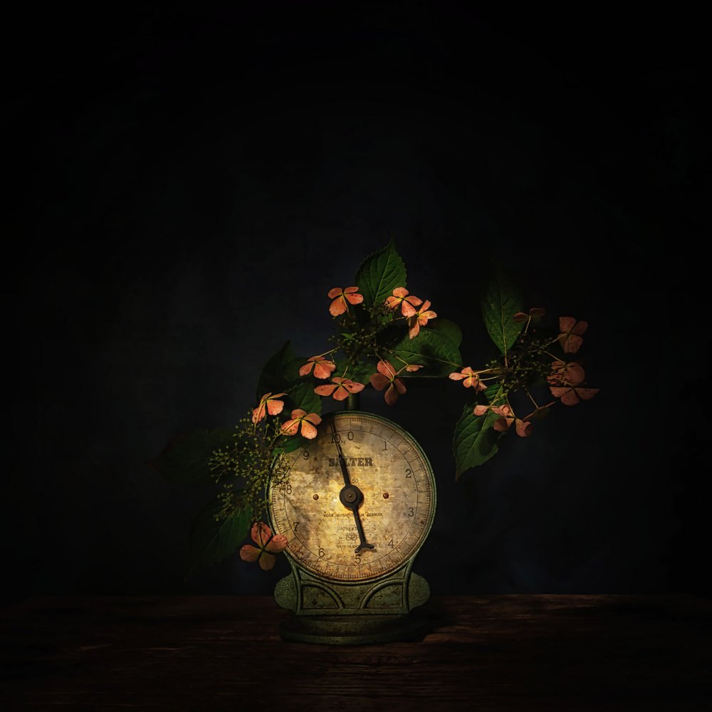 Stilleven met donkere bloemen in schaalvorm door Saskia Dingemans