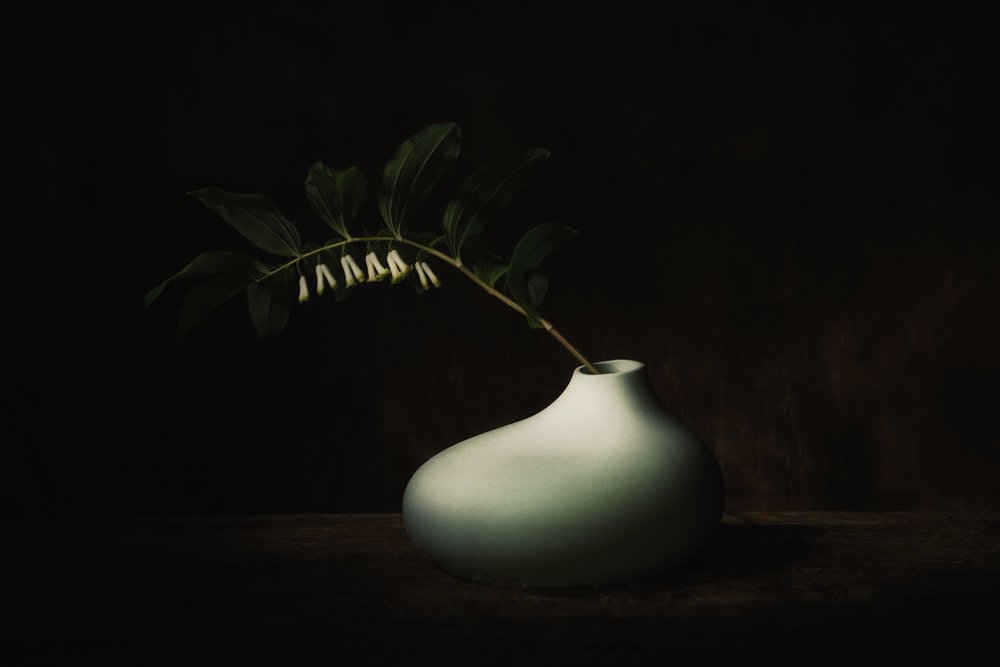 Delicate Bloom: Donker stilleven door Saskia Dingemans