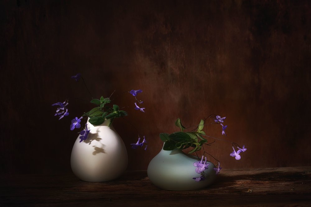 Drijvende paarse bloemen door Saskia Dingemans