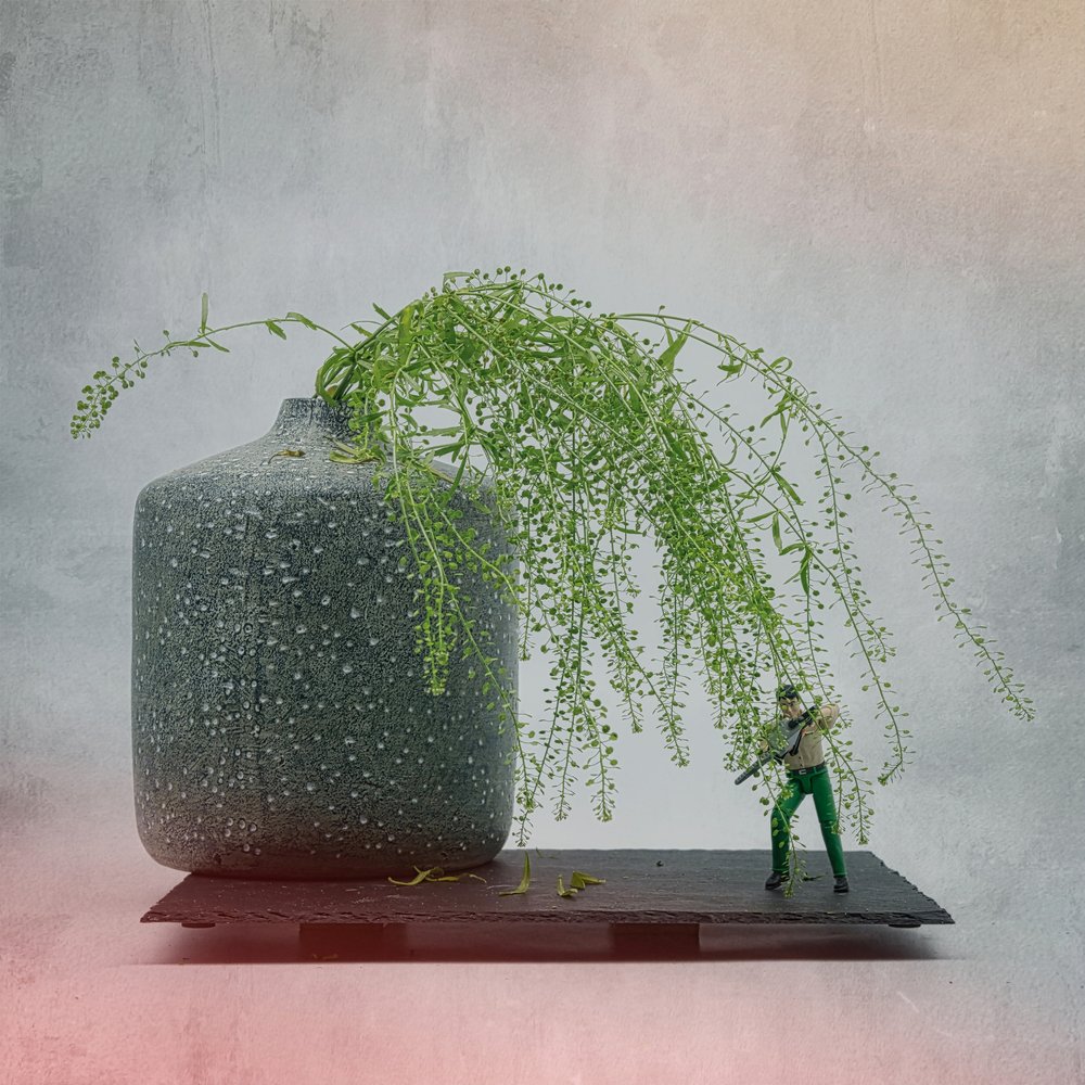 Miniatuursoldaatplant door Saskia Dingemans