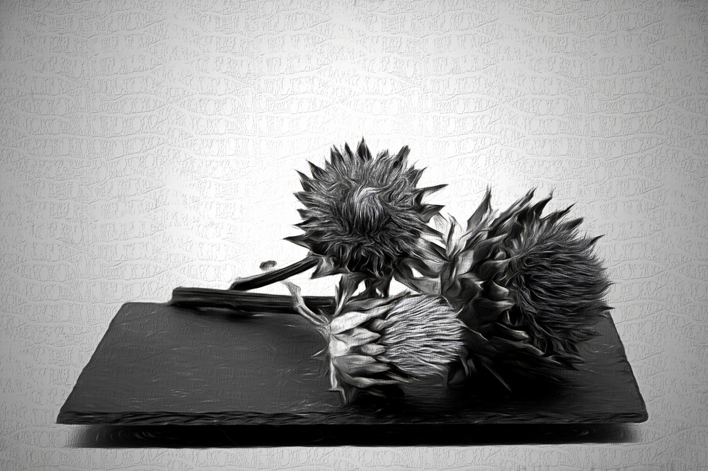 Monochroom stilleven met artisjokken door Saskia Dingemans
