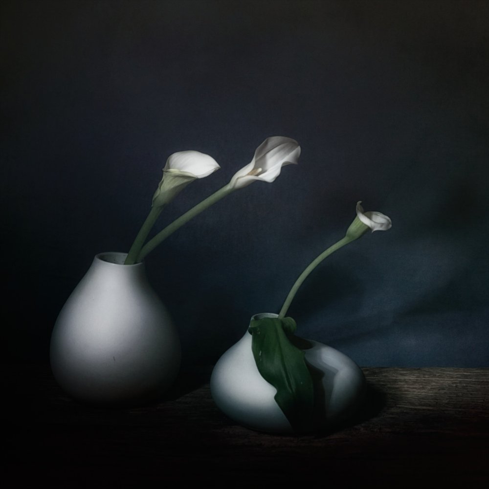 Bloei van de Moody Calla door Saskia Dingemans