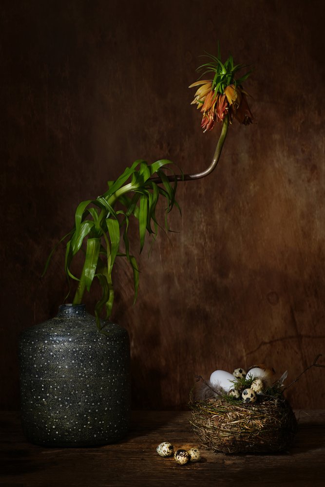 Moody Bloemennest door Saskia Dingemans