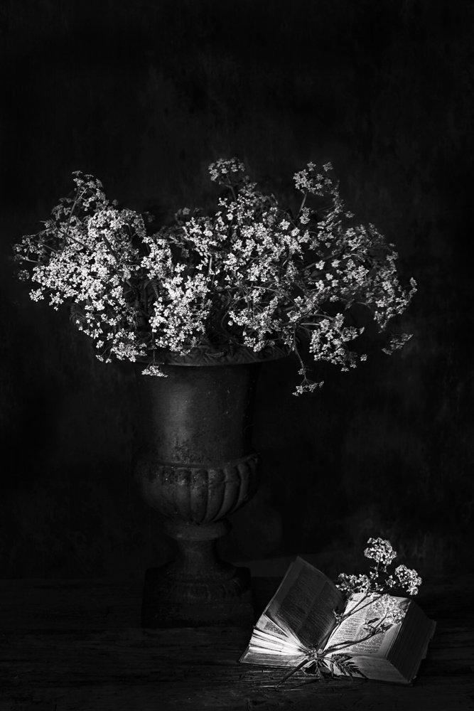 Stemmingvol bloemstilleven door Saskia Dingemans