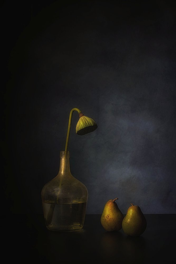 Moody Lotus en peren door Saskia Dingemans