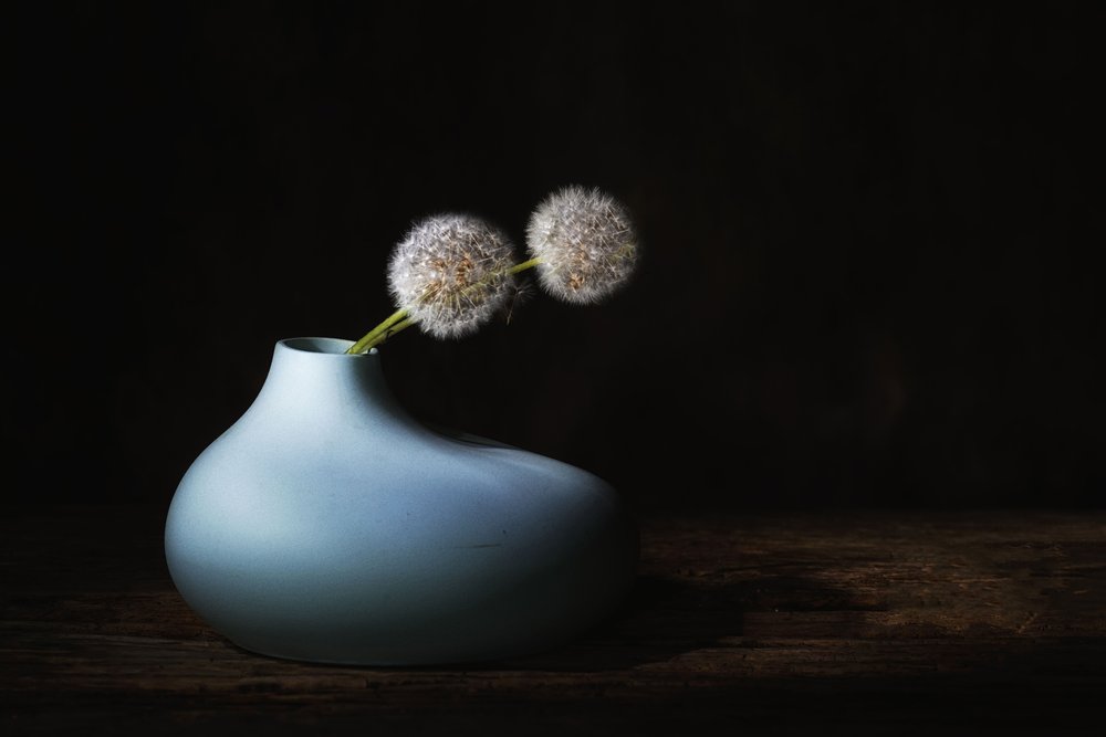 Stille paardenbloemen door Saskia Dingemans