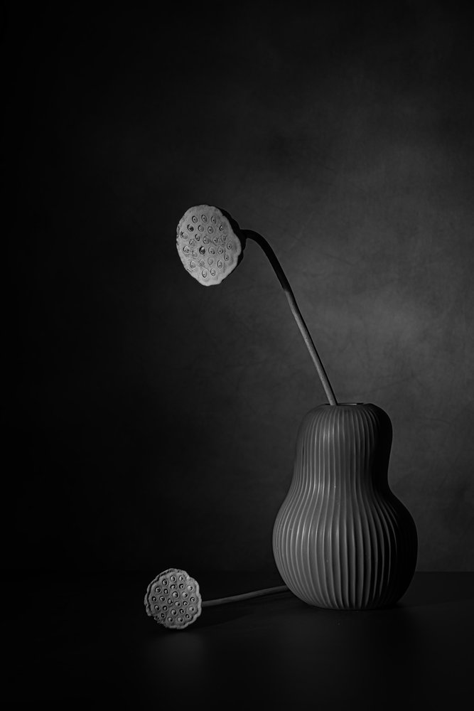 Rustig lotus-stilleven door Saskia Dingemans