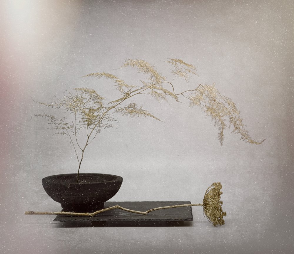 Serene Gedroogde Planten door Saskia Dingemans
