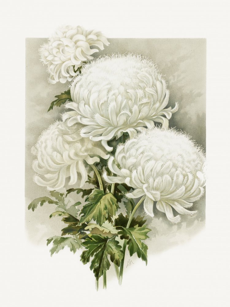 Mevrouw Alpheus Hardy door Sidney Thomas Callowhill