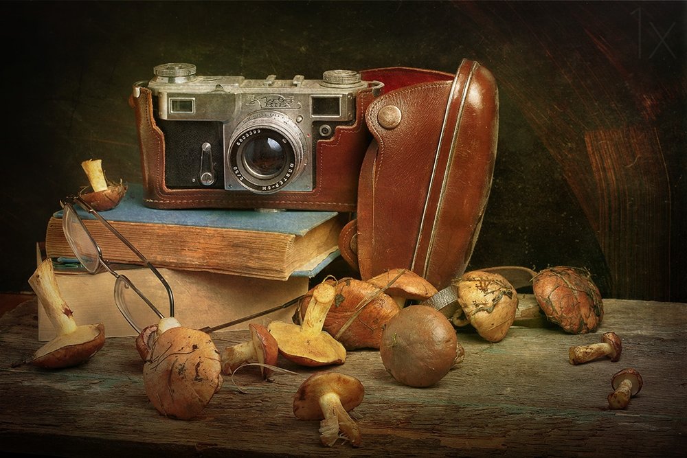 Vintage camera en paddenstoelen door Stanislav Aristov