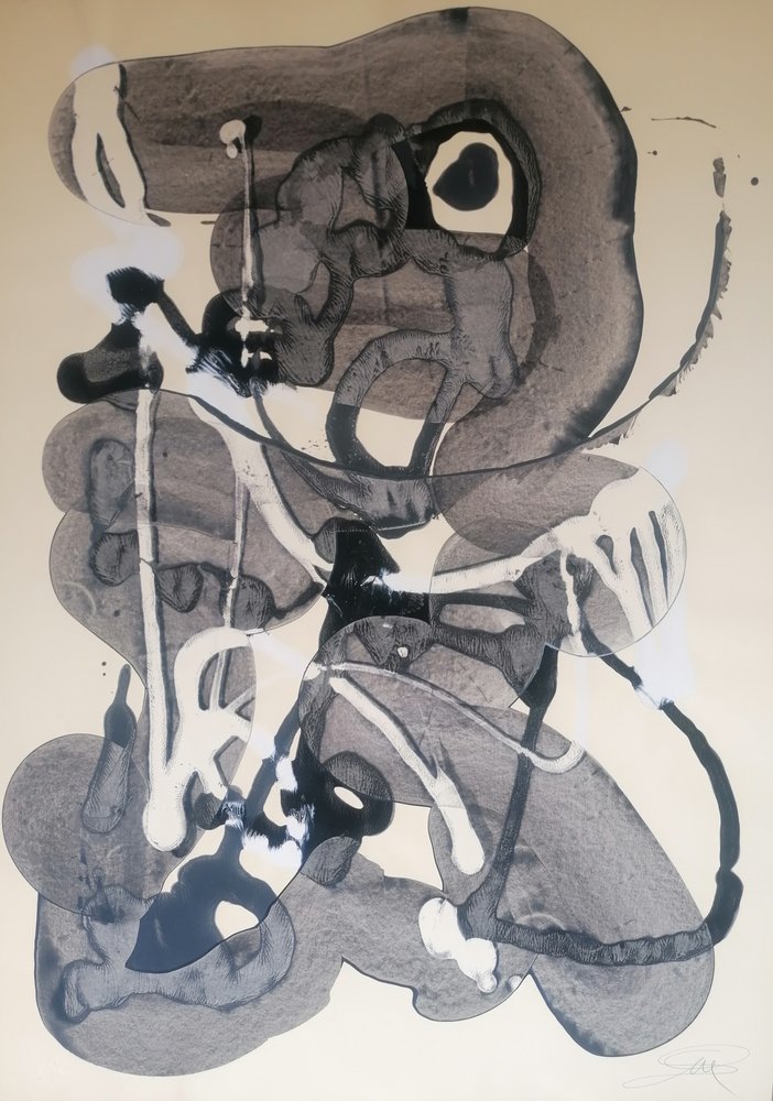 Abstracte inktvormen door Stefano Mazzolini
