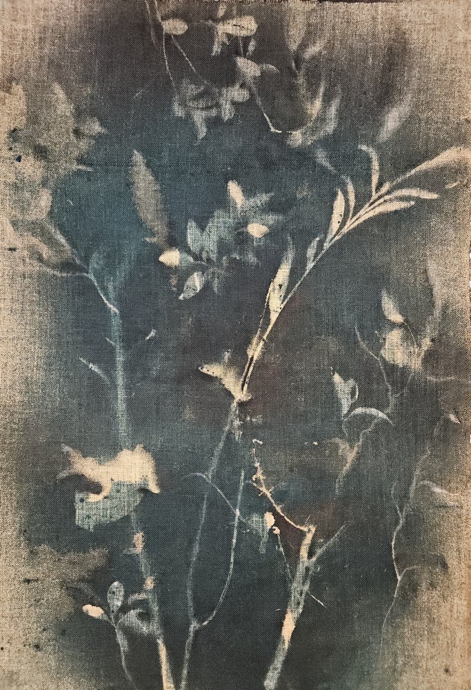 Blauwe botanische studie door Stefano Mazzolini