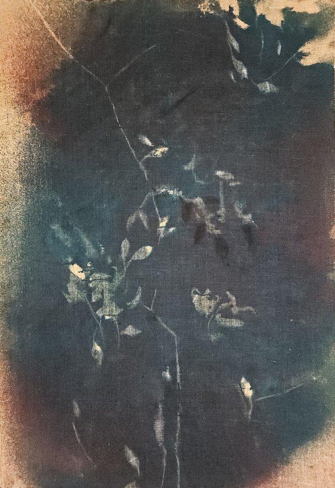 Donkerblauwe botanische motieven door Stefano Mazzolini