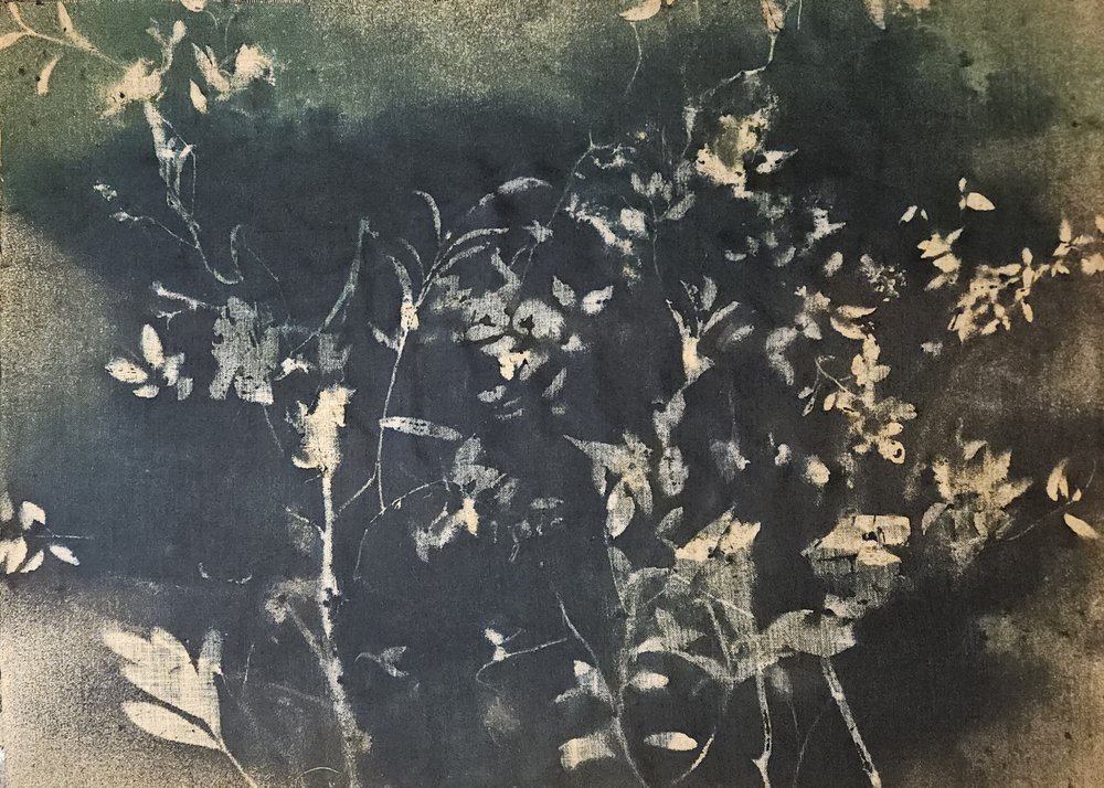 Donkere botanische silhouetten door Stefano Mazzolini