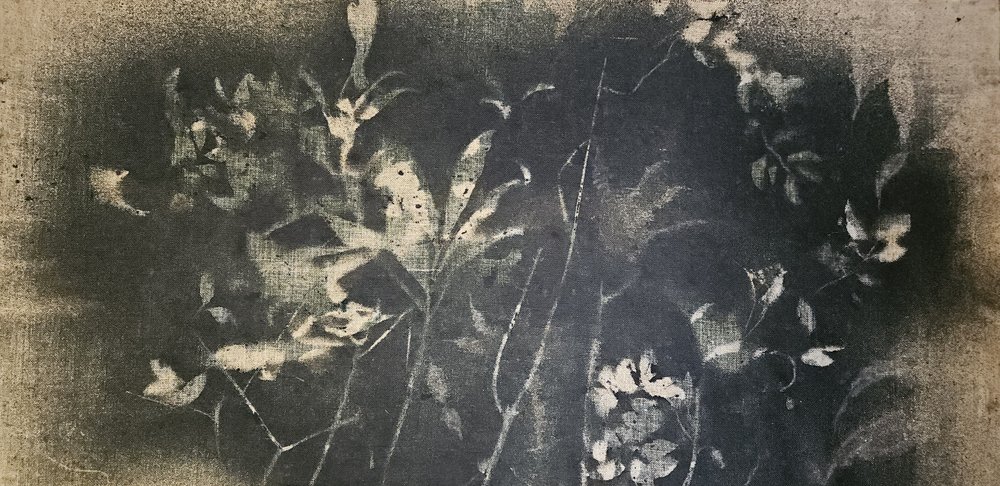 Donkere botanische studie door Stefano Mazzolini