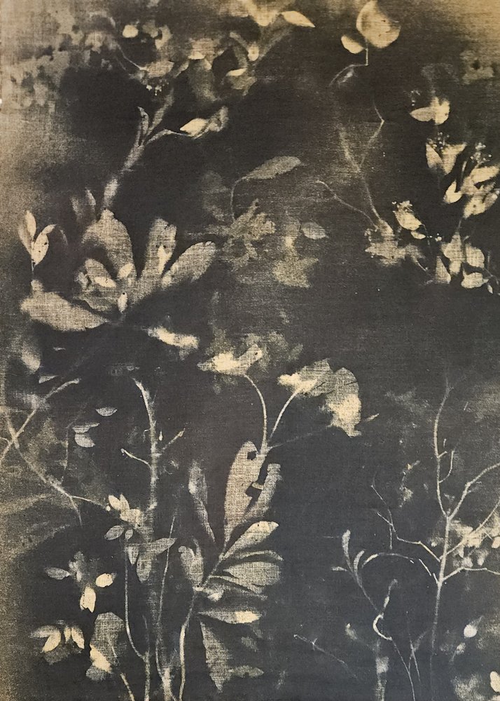 Donkere botanische studie door Stefano Mazzolini