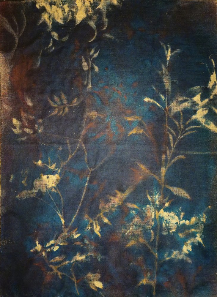 Diepblauwe botanische motieven door Stefano Mazzolini