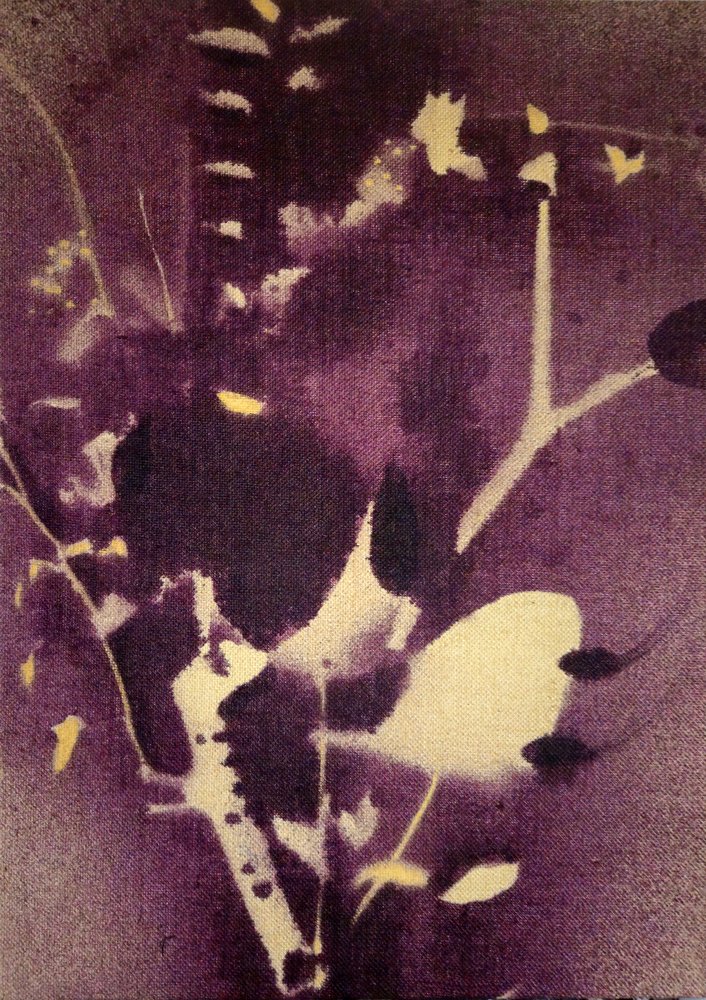 Dieppaarse botanische motieven door Stefano Mazzolini
