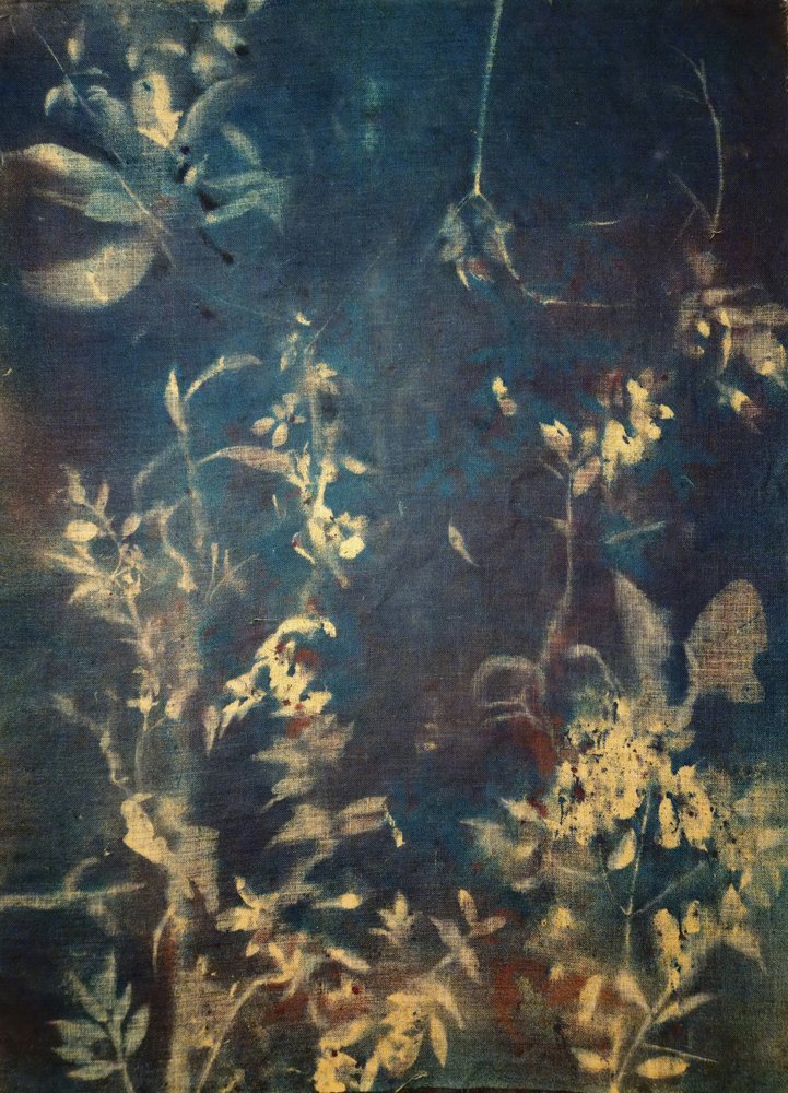 Etherische blauwe botanische motieven door Stefano Mazzolini