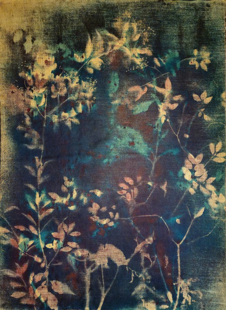 Etherische blauwe botanica door Stefano Mazzolini
