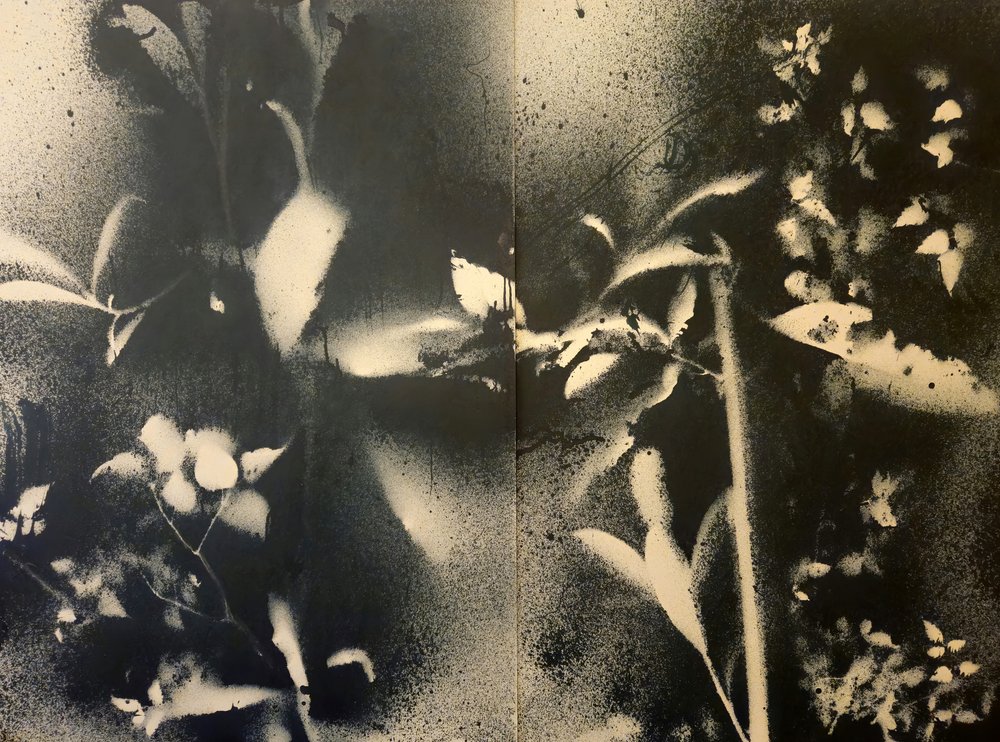 Etherische botanische vormen door Stefano Mazzolini